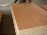 Cheap Price Commercial Plywood for Furniture